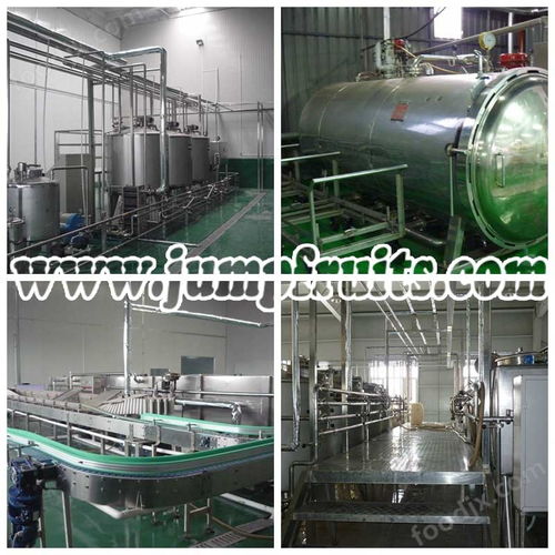 直銷特色優質果酒設備與生產線價格解析及水處理設備研發